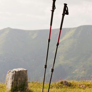 Ranger trekking poles